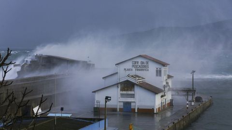 Malpica