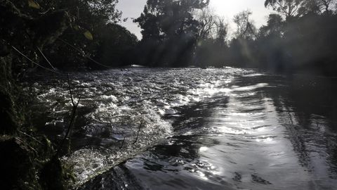 El río Umia al límite de su capacidad a su paso por Baión