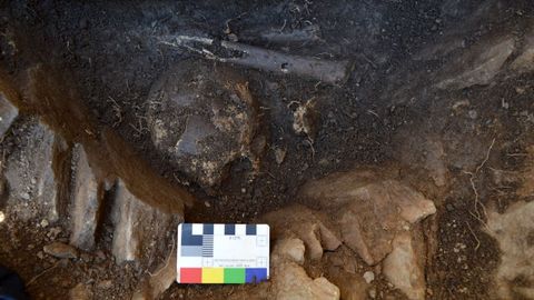 Los restos humanos —un cráneo y dos tibias— aparecieron en una cavidad excavada en la roca. Los investigadores supusieron que podría datar de la Edad del Bronce, ya que este tipo de enterramiento no coincide con las prácticas funerarias más habituales en la Edad Media