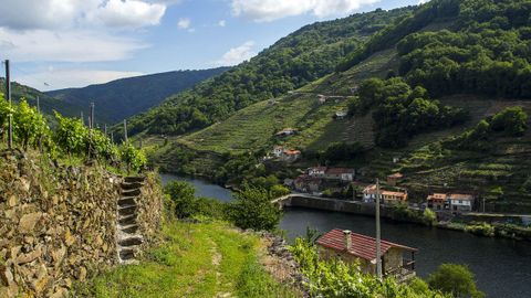 El camino llega al Miño en Belesar, un pueblo divido entre las dos orillas del río