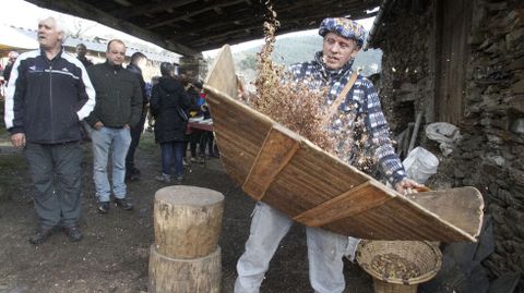 Un vecino de Froxán utiliza un abandoxo, el instrumento que permite acabar de separar la cáscara del fruto de la castaña