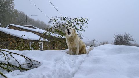 Nieve en la aldea de A Veneira de Roques, en A Pobra do Brollón