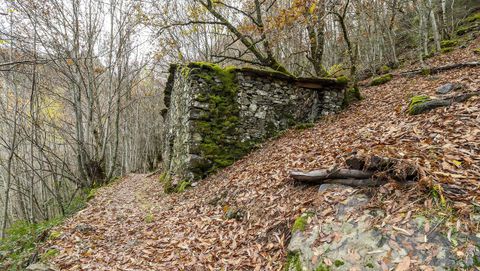 El camino que lleva a la cascada pasa junto a una antigua cabaña