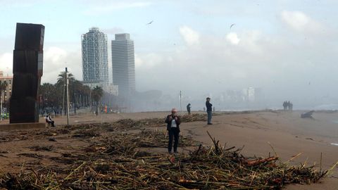 Varios curiosos se acercaron a la playa barcelonesa para sacar fotografías del arenal tras el azote de la borrasca Gloria.