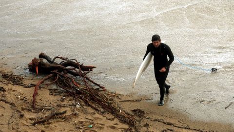 Un surfista esquiva las raíces de un árbol y la basura de la playa de la Barceloneta.