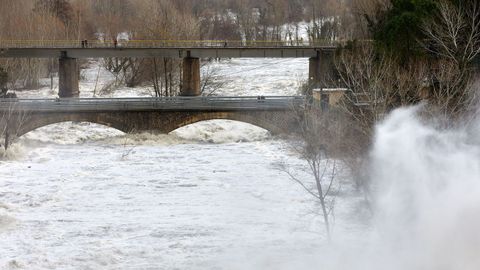 El río Ter, a su paso por la presa del Pasteral en el municipio de La Cellera de Ter (Girona)