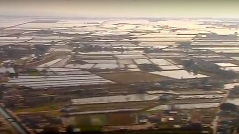 Así ha afectado la crecida del delta del Ebro.