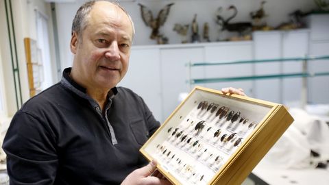 Salustiano Mato, no seu laboratorio da Universidade de Vigo, cun cadro entomolóxico