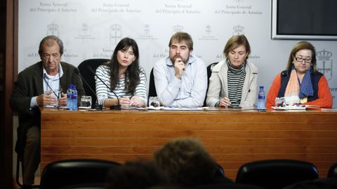 El secretario general de Podemos Asturies, Daniel Ripa (c), junto a la responsable de sanidad de dicha formación, Covadonga Tomé (2d), y representantes municipales y vecinales de Gijón, durante la rueda de prensa que ofrecieron este lunes sobre la situación de la sanidad en la región