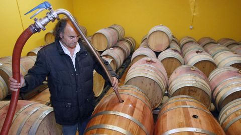 Bodegas como Algueira realizaron en los últimos años pruebas con barricas de roble gallego
