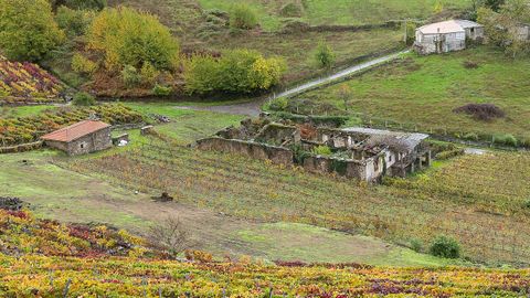 Una vista de las ruinas de la casa de Abadía y de su capilla desde el Camiño da Costiña