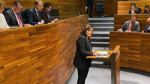 Imagen de archivo de la diputada del PP Beatriz Polledo interviniendo en el pleno de la Junta General