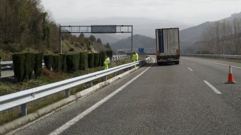 Trabajos de desbroce en O Cereixal