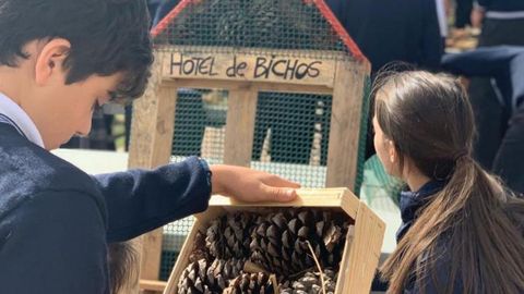 Los alumnos construyeron su propio hotel de insectos