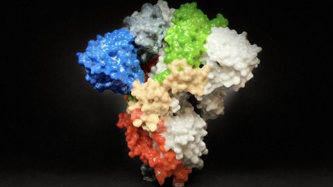 Recreación del coronavirus en 3D realizada por National Institutes of Health, una entidad federal estadounidense