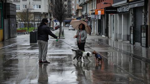 Dos personas pasean a sus mascotas en la Calle Barcelona de A Coruña esta tarde