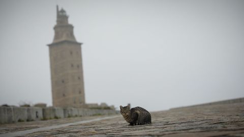 Imagen del exterior de la Torre de Hércules, en A Coruña