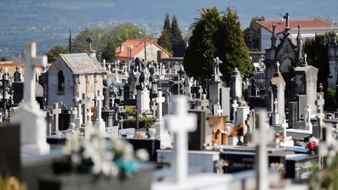 Vista del cementerio municipal de El Salvador de Oviedo