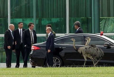 Bolsonaro, a su salida el martes del palacio de Alvorada, sede de la presidencia, en Brasilia