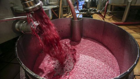 Trasiego de vino en uno de los depósitos de la bodega Vía Romana
