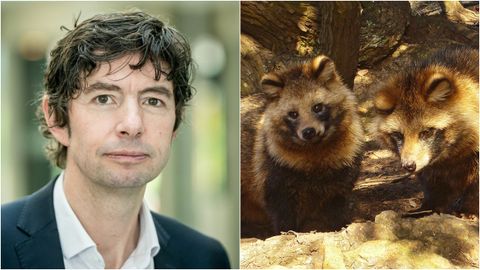 El virólogo Christian Drosten y dos ejemplares de tanuki, especie conocida también como perro mapache