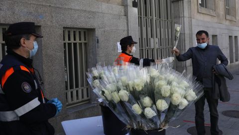 El Concello de Ourense repartió 700 rosas blancas el año pasado por el Día de la Madre