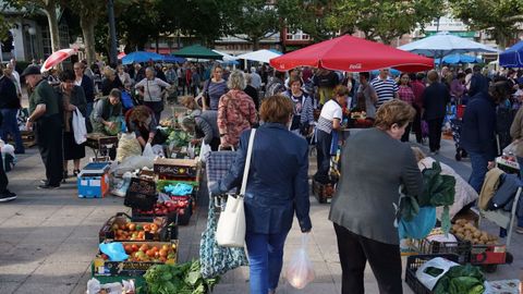 Los puestos en los mercados tendrán que tener una separación de seis metros