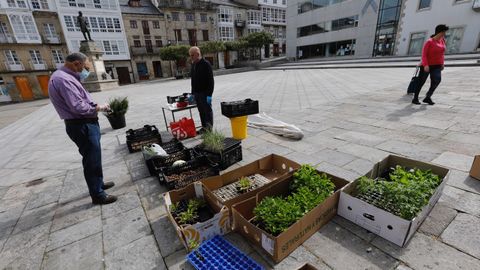 El mercado de Viveiro reabrió ayer, justo el mismo día que estaba previsto el de Carballo, pero únicamente con dos puestos