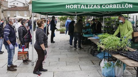 Uno de los puestos habituales, de hortalizas, volvió al mercado de los jueves de Celanova.