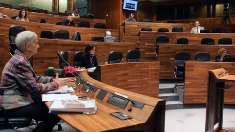 La consejera de Educación, Carmen Suárez, en la Junta General del Principado