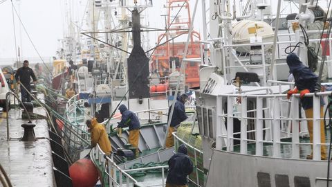 Barcos de Gran Sol como los que operan en Burela (en la imagen), Celeiro, A Coruña, Ribeira o Vigo resultarian afectados si no llegan a buen puerto las negociaciones entre la UE y el Reino Unido