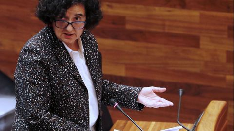 La Consejera de Cultura, Berta Piñán, en la Junta General