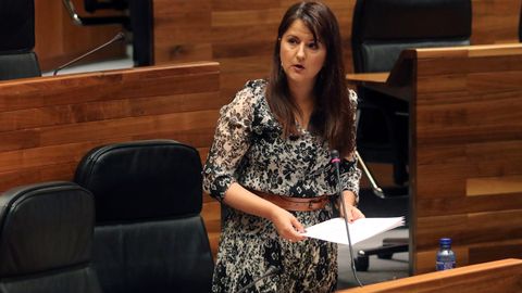 La portavoz de Ciudadanos, Laura Pérez Macho, interviene en la Junta General