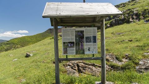 Un panel explicativo en la microrreserva de orquídeas del Alto da Pedra, una de las cuatro que fueron creadas hasta ahora en la sierra de O Courel