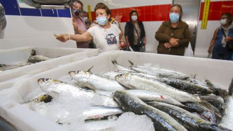 Venta de sardinas para San Juan en el mercado de Carballo.