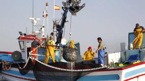Un pesquero gallego capturando sardina en la ría de Arousa el pasado junio