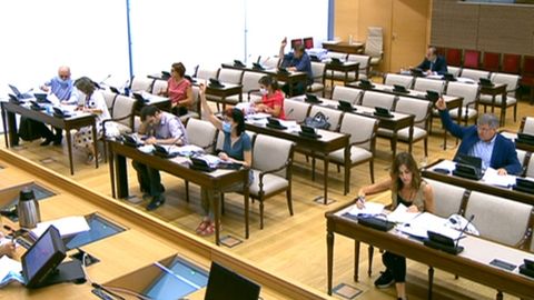 Votación en el grupo de trabajo de Políticas Sociales dentro de la comisión de Reconstrucción
