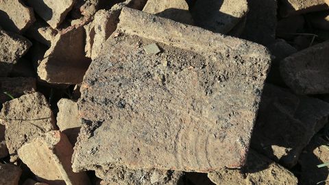 Excavacióna arqueológica en una villa romana en Coea, Castro de Rei