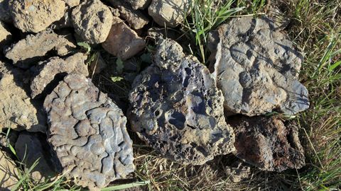Excavacióna arqueológica en una villa romana en Coea, Castro de Rei