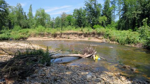 La rotura de la presa hace que río erosione los terrenos en la margen de Cobas