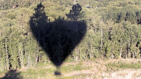 La sombra del globo sobre una zona de espesa arboleda