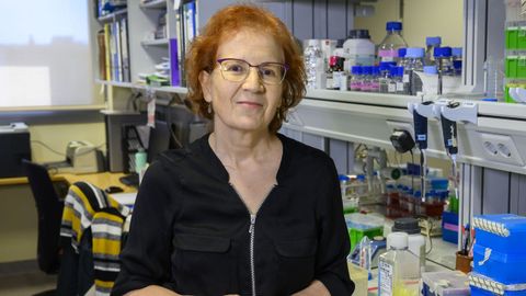 Margarita del Val asegura que los confinamientos selectivos están funcionando