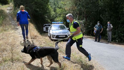 Los perros de rastreo participaron ayer y hoy en la búsqueda