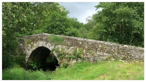 Detalle da ponte vella de Andón, ao paso do camiño polo concello pontevedrés de Forcarei