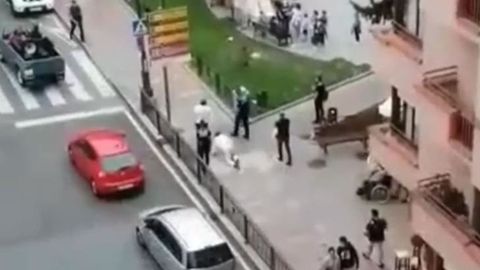 Dos turistas fingen ser perros para no colocarse la mascarilla en Cangas de Onís