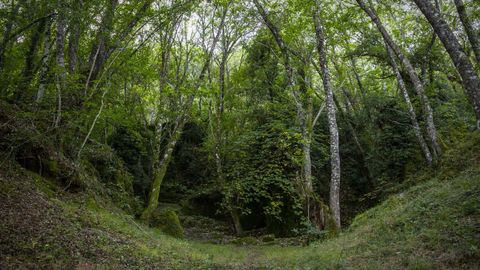 El acceso más cómodo a la zona es desde las aldeas de Agüeira o Cela