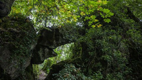 Os Grobos es un bosque de cuento lleno de pasadizos entre paredes de rocas, musgo y helechos