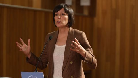 Pontón, tras la intervención de Feijoo, en los pasillos del Parlamento