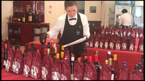 En la imagen, algunas de las muestras que se presentaron al concurso