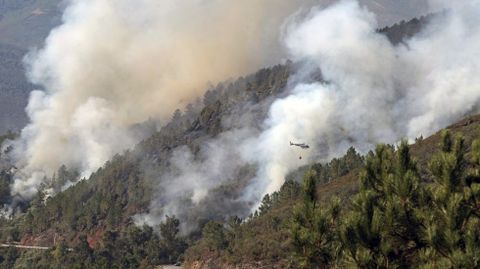 Aspecto que presentaba a media mañana la zona en la que empezó el incendio, junto a la carretera Quiroga-Folgoso